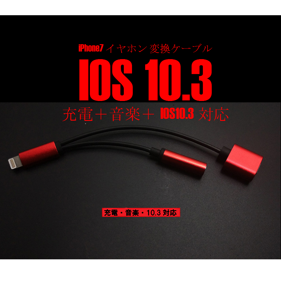 イヤホンケーブル　10.3